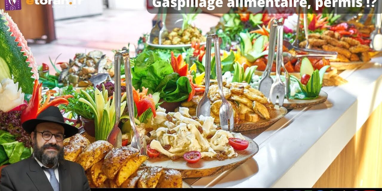 Lois des « devoirs envers son prochain » #3: La relation homme-animal dans le Judaïsme? Bal Tach&rsquo;hit ?