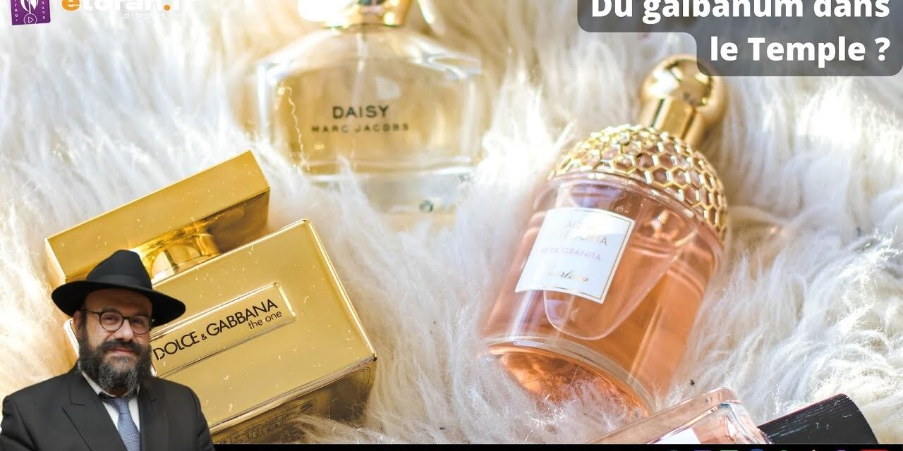 Tetsavé : Comment définir ses priorités dans la vie ?