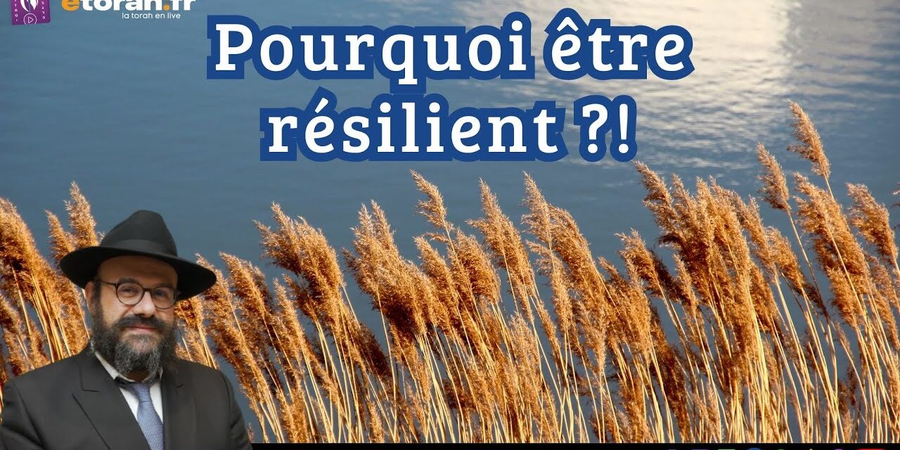 Conférence: Quel est le rôle primordial de la résilience dans nos vies ?
