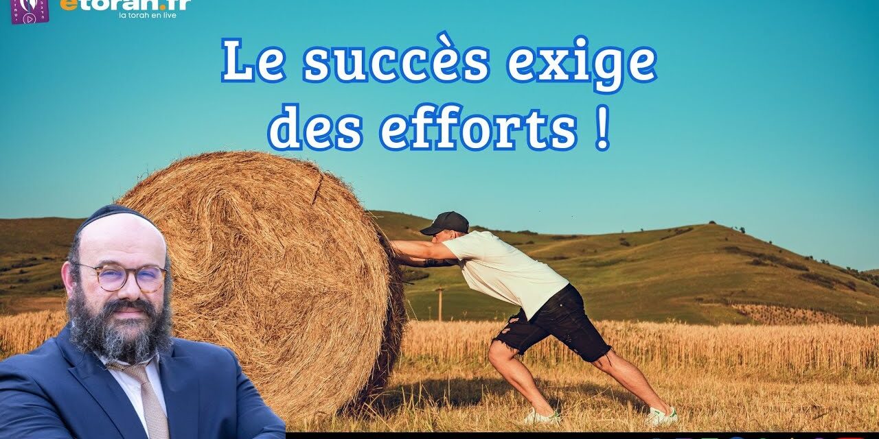 Behar : Pourquoi tout gain nécessite-t-il un effort ?