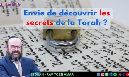 Noah: Quels trésors cachés se trouvent dans les enseignements de Rachi ?