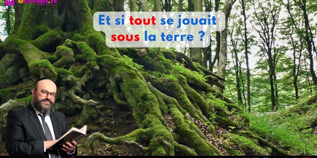 Tou bichevat: Des fruits, oui… mais qui nourrit votre racine ? Et si tout se jouait sous la terre ?