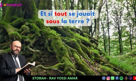 Tou bichevat: Des fruits, oui… mais qui nourrit votre racine ? Et si tout se jouait sous la terre ?