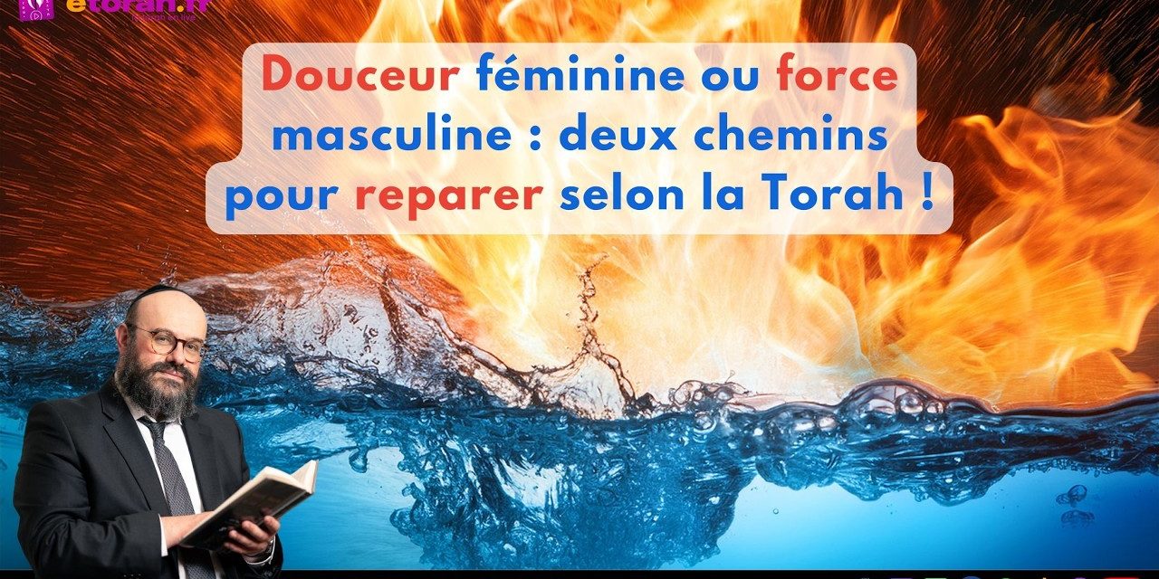 Vayikra: Et si toutes les erreurs ne se corrigeaient pas pareil? Douceur féminine / force masculine?