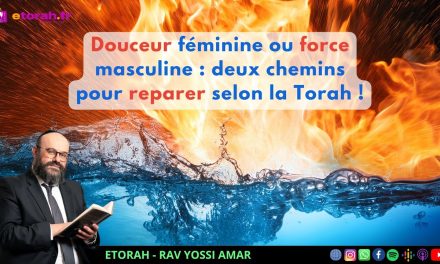 Vayikra: Et si toutes les erreurs ne se corrigeaient pas pareil? Douceur féminine / force masculine?
