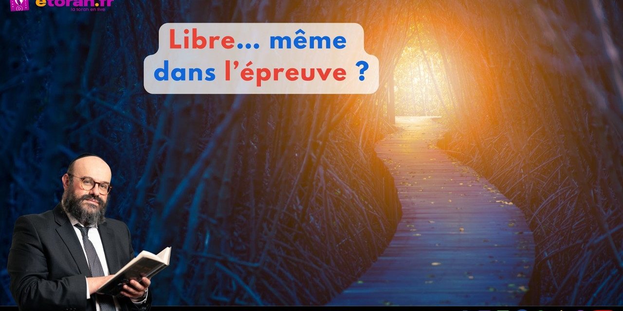 Pessa&rsquo;h: Pourquoi même dans l’épreuve… pouvez-vous être totalement libre ?