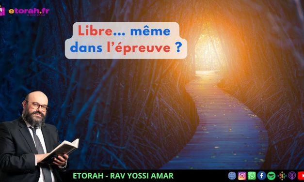 Pessa&rsquo;h: Pourquoi même dans l’épreuve… pouvez-vous être totalement libre ?