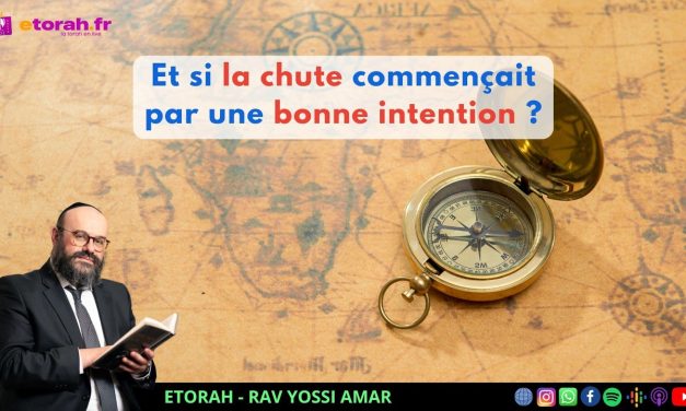 Chelah: Et si les plus grandes chutes commençaient par une bonne intention… et un détail “innocent”?