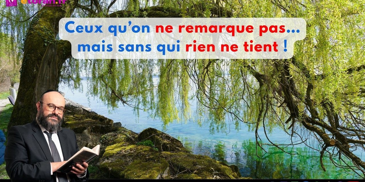 Souccot: Et si ceux qu’on remarque le moins étaient en réalité les plus essentiels ?