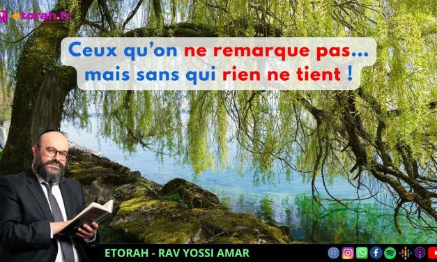Souccot: Et si ceux qu’on remarque le moins étaient en réalité les plus essentiels ?